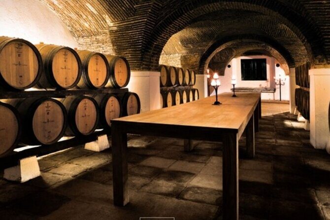 Private Alentejo Wine Tour & Évora Heritage from Lisbon - An In-Depth Look at the Tour Experience