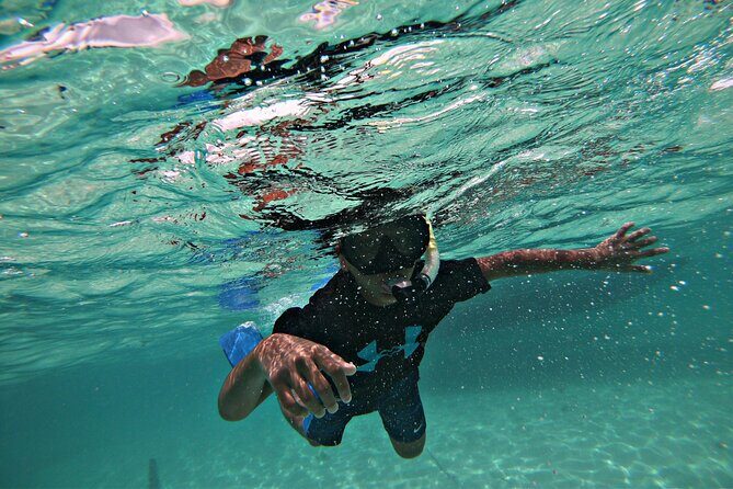 Private All-Inclusive 22ft Boat Guided Snorkeling Icacos Palomino - Final Thoughts