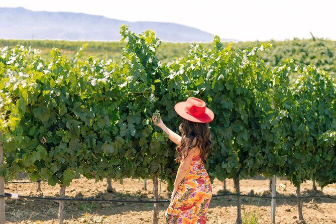 Private All-Inclusive 3-Winery SYV Tour from Santa Barbara - Key Points