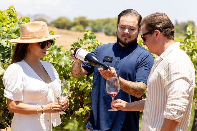 Private All-Inclusive 3-Winery Tour from Paso Robles/Atascadero - Key Points