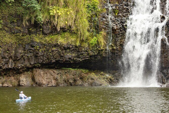 Private - All Inclusive Big Island Waterfalls Tour - FAQ