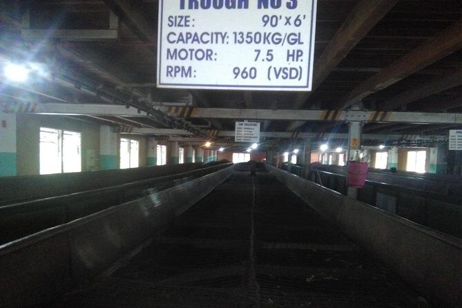 Private all inclusive Day tour Kandy, Pinnawala, & your own selected attractions - Transport and Practicalities