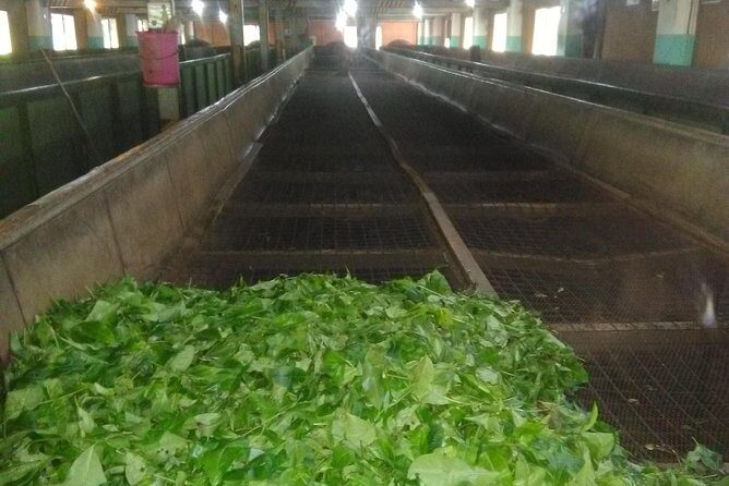 Private all inclusive Day tour Kandy, Pinnawala, & your own selected attractions - Final Thoughts