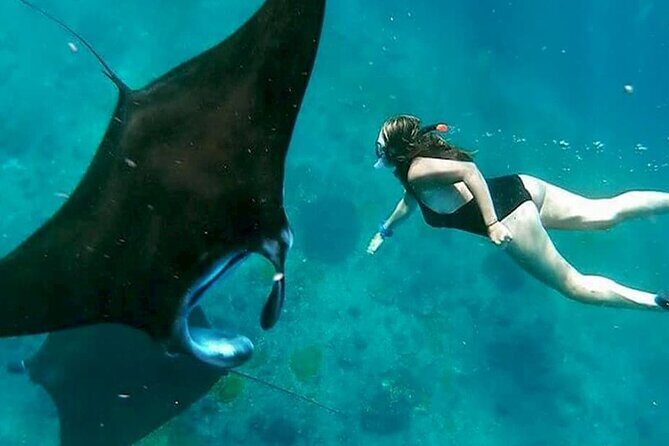 Private All Inclusive Nusa Penida Snorkeling and Tour - Key Points