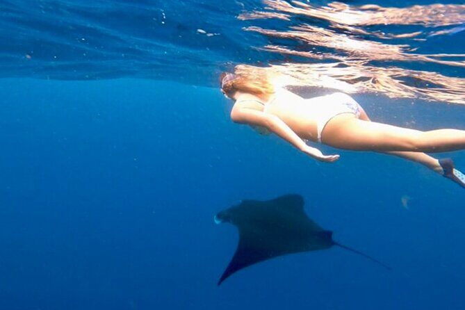 Private All Inclusive Nusa Penida Snorkeling and Tour - A Deep Dive into the Tour Experience