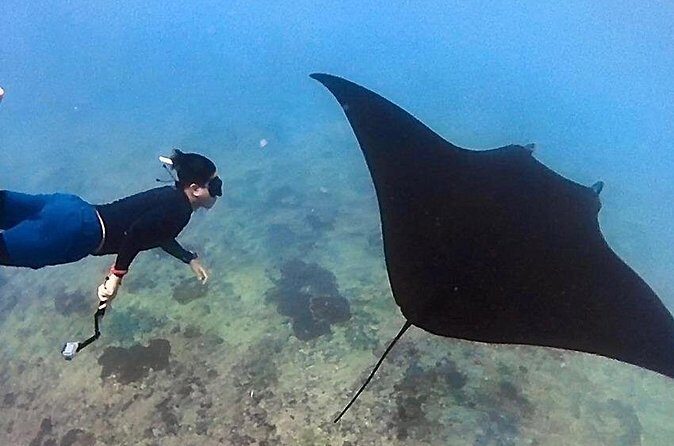 Private All Inclusive Nusa Penida Snorkeling and Tour - FAQ