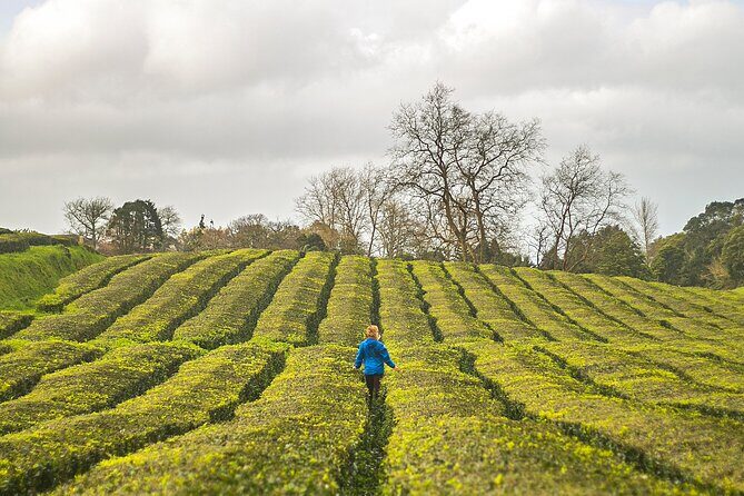 Private - All of Furnas, Tea Plantation, ticket to Beija included - Frequently Asked Questions