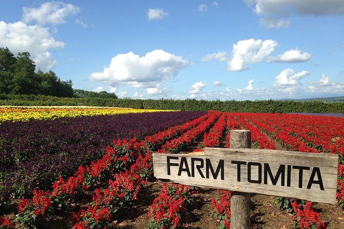 Private Alphard & Simple English Driver in Hokkaido(Sapporo Otaru Toya Furano) - FAQ