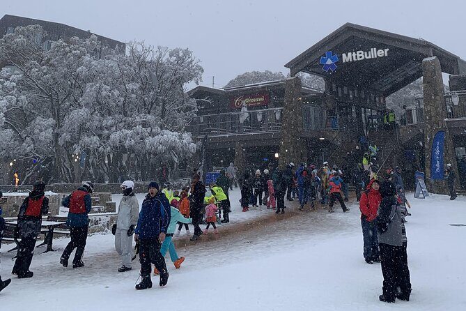 Private Alpine Day Tour from Melbourne to Mount Buller - Authentic Experiences & Authenticity