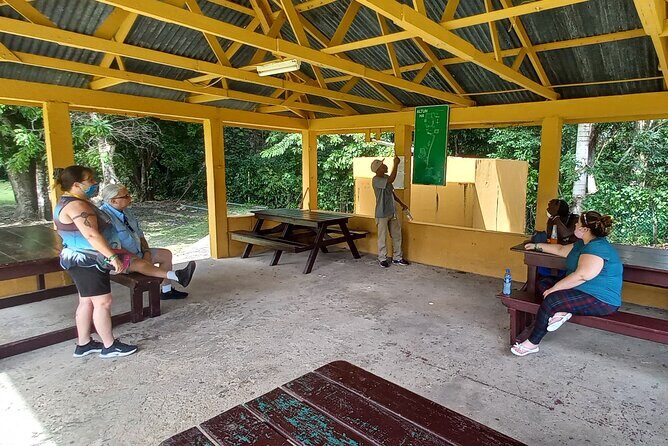 Private Altun Ha Maya Archeology & Belize City Shore Excursion. - Final Thoughts: Is It Worth It?