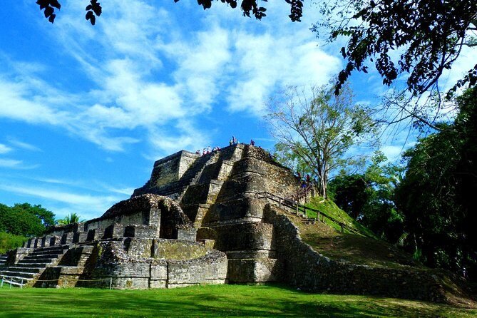 Private Altun Ha Maya Ruin & Belize City Adventure From Belize City - What Do Travelers Say? Authentic Experiences from Reviews