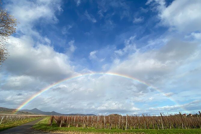 Private and customizable: Alsace Wine Route HIGHLIGHTS in 3 hours - Transportation and Comfort