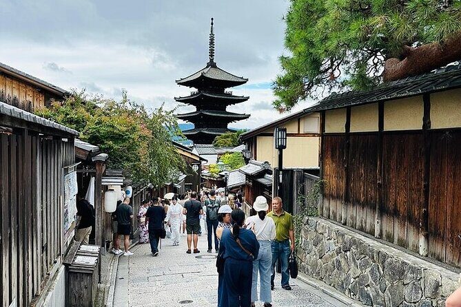 Private and Customizable Kyoto Tour with English Speaking Driver - In-Depth Review of the Kyoto Private Tour