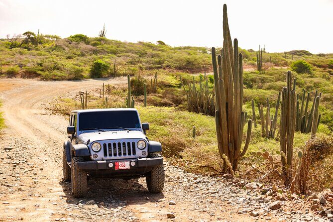 Private and Customized Aruba 4X4 Jeep Adventure - Experience the Freedom of a Private Customizable Jeep Adventure in Aruba