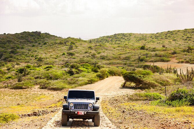 Private and Customized Aruba 4X4 Jeep Adventure - Key Points