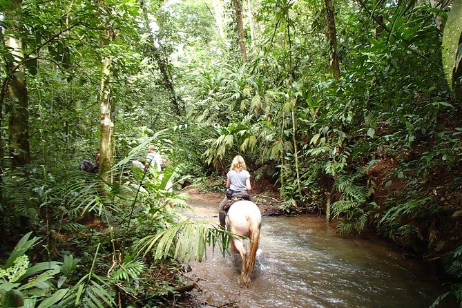 Private and Customized Horseback Riding Adventures - Setting the Scene: La Fortuna’s Countryside and Trails