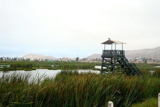 Private and exclusive Nature and Trek in Chorrillos - Key Points