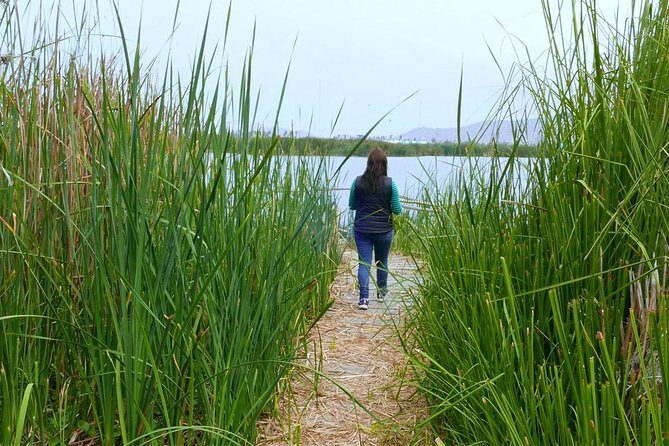 Private and exclusive Nature and Trek in Chorrillos - Authentic reviews and traveler insights