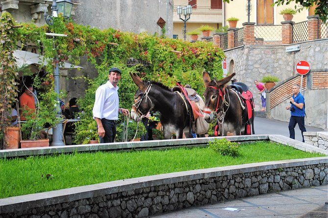 Private and Guided Godfather Tour from Taormina with Lunch - Price and Value: Is It Worth It?