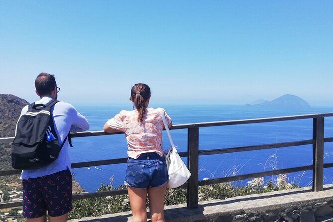 Private and guided tour of Salina: Discovering the Green Island - Who Should Consider This Tour?