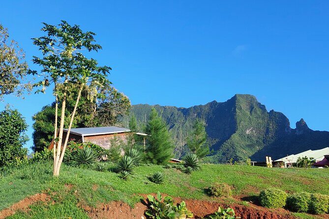 Private and guided visit to Mystery House Raiatea - A Closer Look at the Mystery House Raiatea Experience