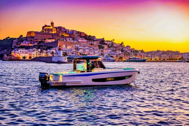Private and Luxury boat day tour around Ibiza and Formentera - Who Should Consider This Tour?