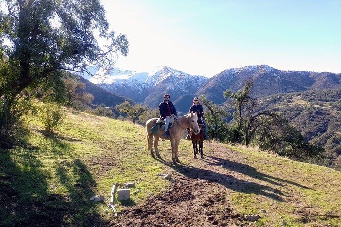 Private Andes Horse Riding with Cheese and Wine. Near Santiago - A Detailed Look at the Experience
