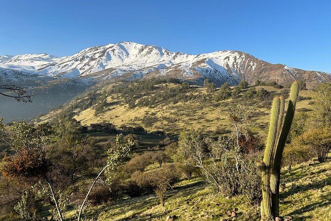 Private Andes Horse Riding with Cheese and Wine. Near Santiago - The Value of This Tour