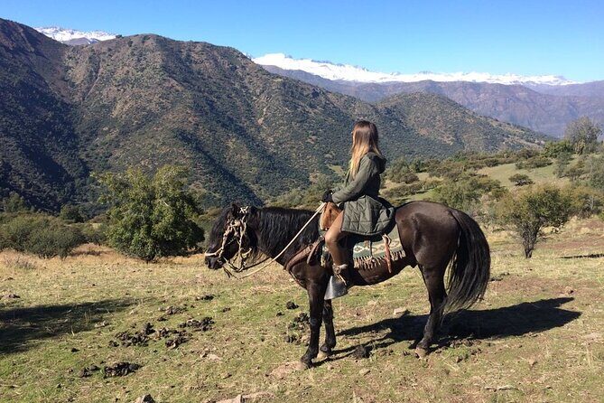 Private Andes Horse Riding with Cheese and Wine. Near Santiago - Who Would Love This Experience?