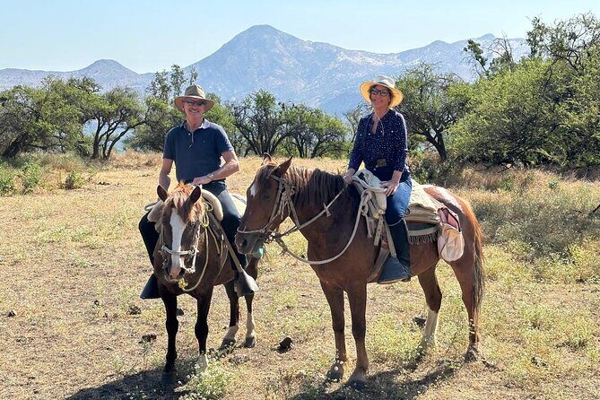 Private Andes Horse Riding with Cheese and Wine. Near Santiago - Final Thoughts