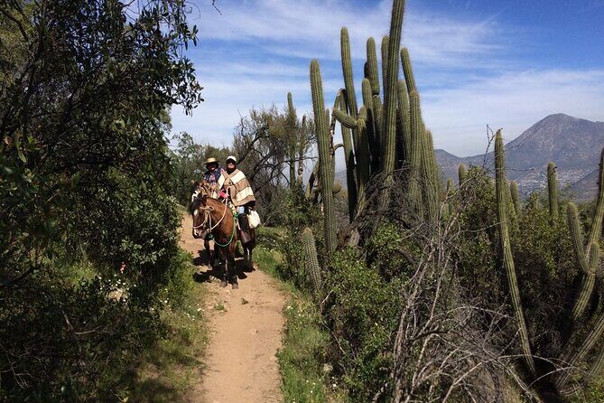 Private Andes Horse Riding with Cheese and Wine. Near Santiago - FAQ