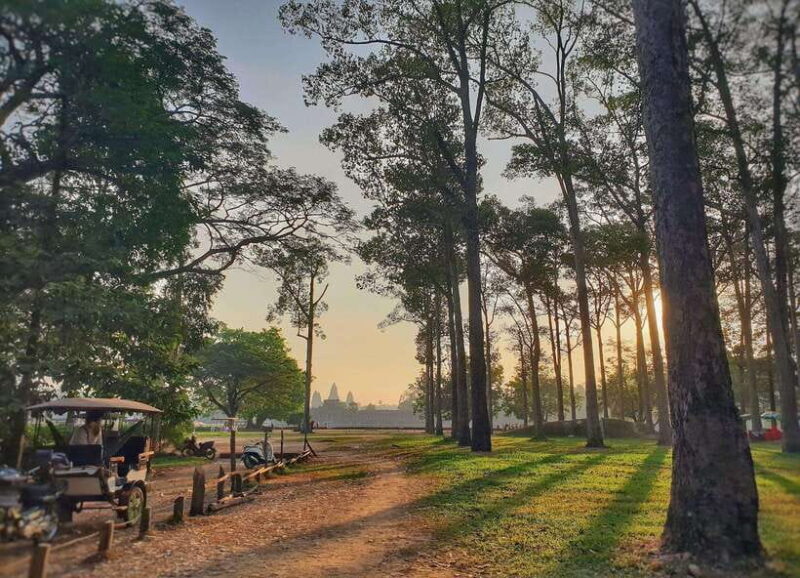 Private Angkor Park Guided Tour (Must-Visit Temples) - Why This Tour Offers Great Value