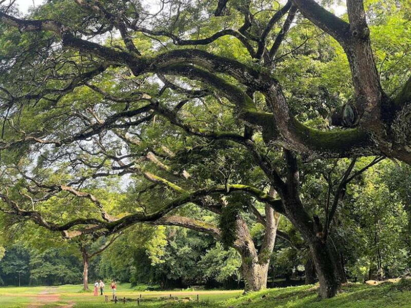 Private Angkor Wat Temple Tour - FAQ