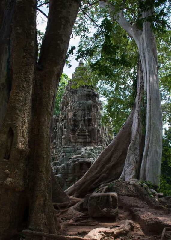 Private Angkor Wat Temple Tour - A Deep Dive into the Angkor Experience