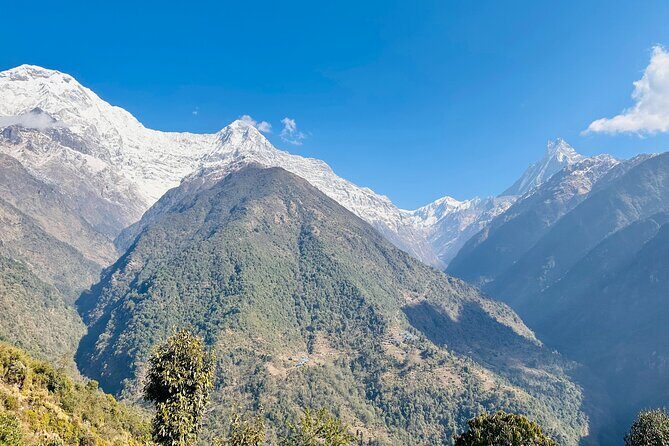 Private Annapurna Base Camp Trek - An In-Depth Look at the Annapurna Base Camp Trek