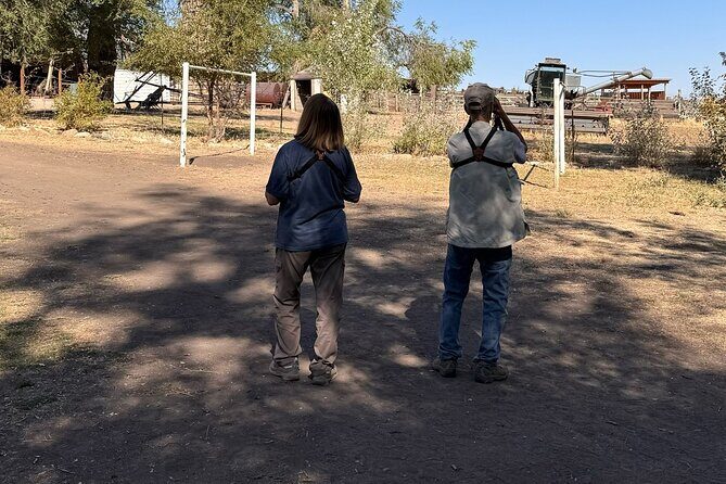 Private Antelope Island & Great Salt Lake Tour - Discover the Wild Side of Utah with the Private Antelope Island & Great Salt Lake Tour
