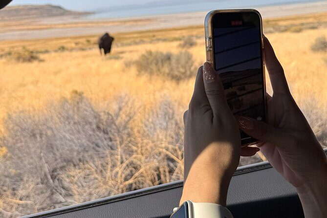 Private Antelope Island & Great Salt Lake Tour - Key Points