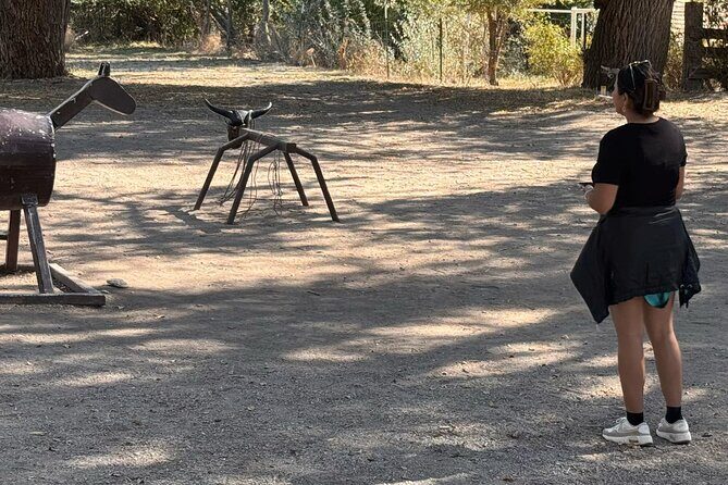 Private Antelope Island & Great Salt Lake Tour - Who Will Love This Tour?