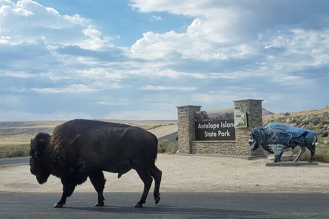 Private Antelope Island State Park Tour - An In-Depth Look at the Private Antelope Island Tour