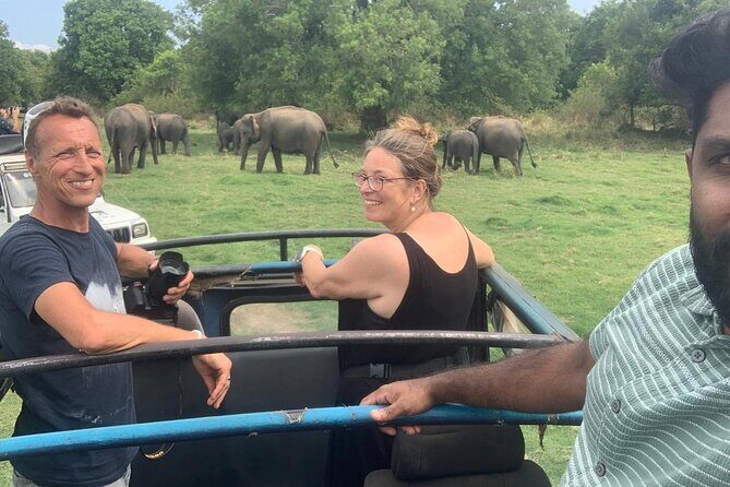 Private Anuradhapura & Wilpattu Safari Day Tour From Dambulla - The Practical Side: What You Need to Know