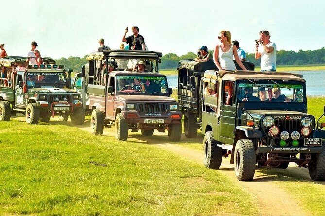 Private Anuradhapura & Wilpattu Safari Day Tour From Dambulla - Final Thoughts