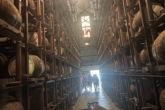 Private Appleton Estate Rum Tour with Limestone Massage, Rafting - Key Points