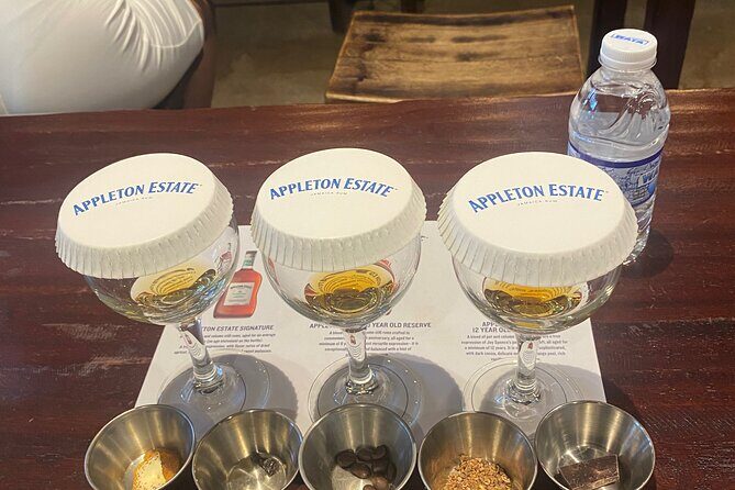 Private Appleton Estate Rum Tour with Limestone Massage, Rafting - The Tour Itself: A Closer Look