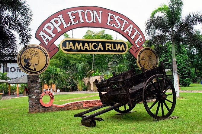 Private Appleton YS Falls and Black River Tour from Montego Bay - Who Will Love This Tour?