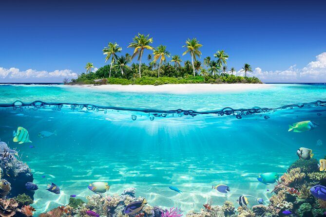 Private Aquafari Tour in Curaçao from Willemstad - The Sum Up: Is This Tour Worth It?