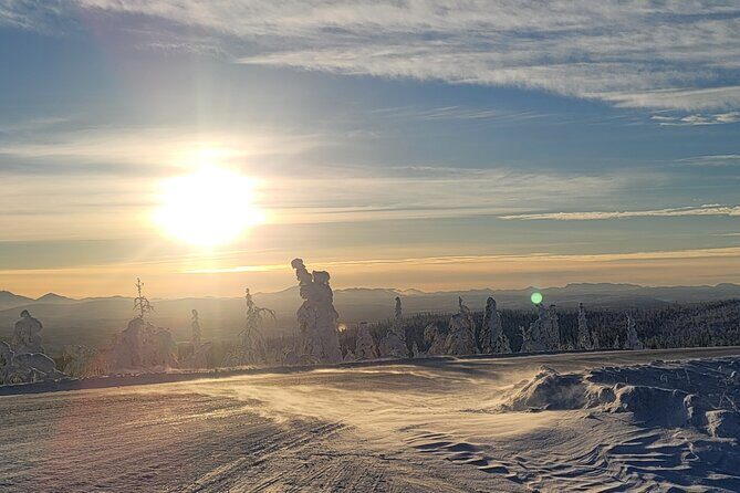 Private Arctic Circle Expedition from Fairbanks - A Close Look at the Arctic Circle Expedition