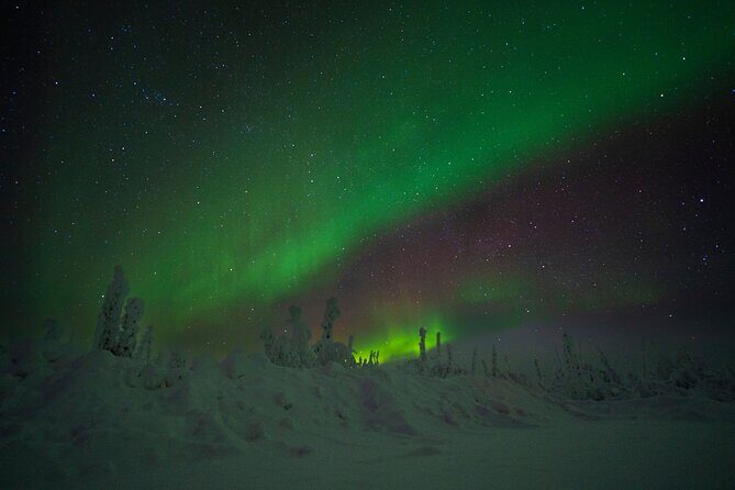 Private Arctic Circle Expedition from Fairbanks - Final Thoughts