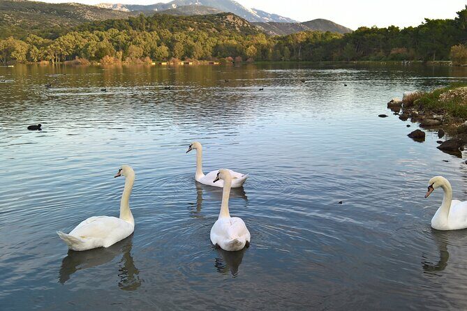 Private Argostoli Walking Experience - A Closer Look at the Argostoli Walking Tour