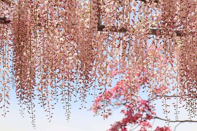 Private arrival Transfer from Osaka Itami Airport(ITM) to central Osaka city - Who Will Benefit Most?