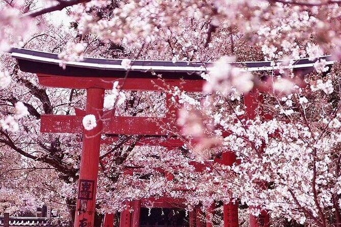 Private arrival transfer from Osaka Itami International airport to Kyoto City - Potential Considerations